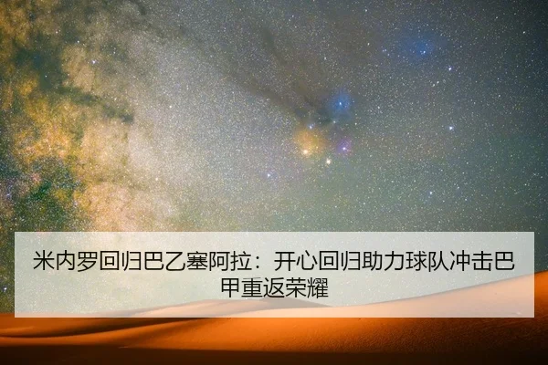 米内罗回归巴乙塞阿拉：开心回归助力球队冲击巴甲重返荣耀 - RAYESPORTS